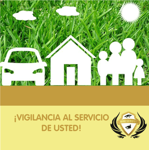 seguridad privada